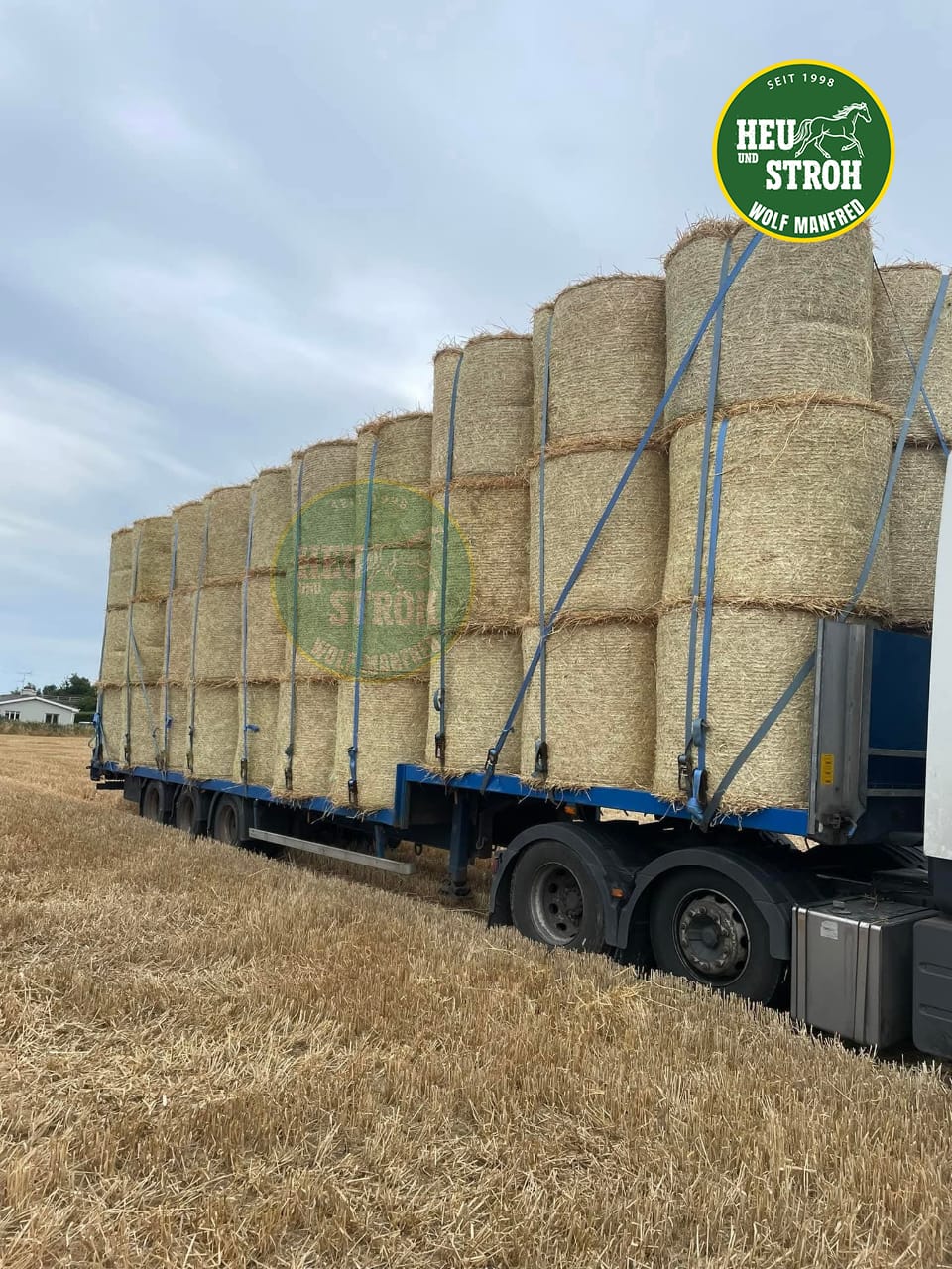 Rundballen auf dem Feld